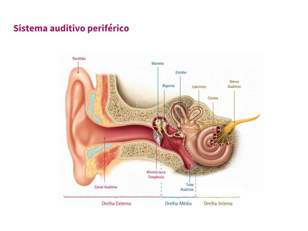 Fonotom Audiologia e Otoneurologia